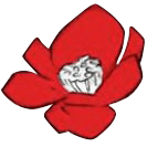 Beken Ortega Favicon